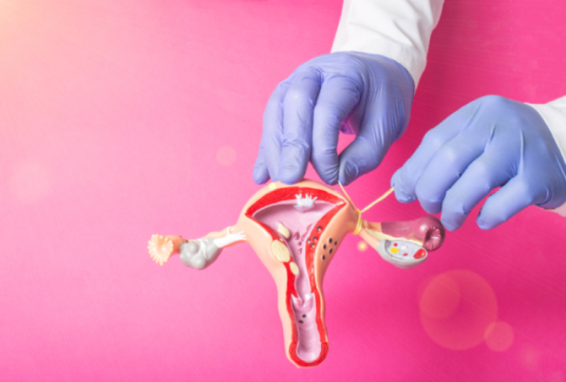 Frozen Embryo Transfer (FET) in Turkiye